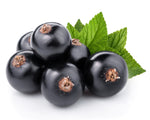 Black Currant Berries - Frozen - 5 Pounds